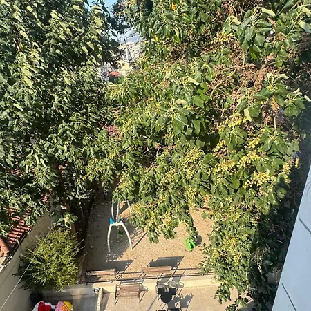 Elios Near Centre * 地拉那